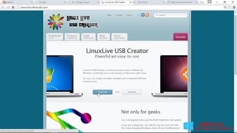 Skärmdump LinuxLive USB Creator för Windows 8