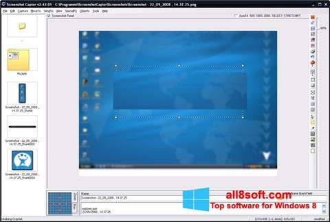 Skärmdump ScreenShot för Windows 8