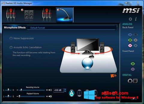 Skärmdump Realtek Audio Driver för Windows 8