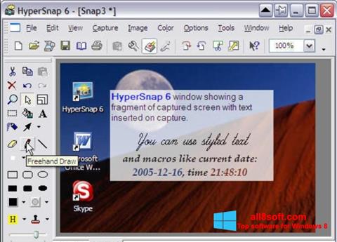 Skärmdump HyperSnap för Windows 8