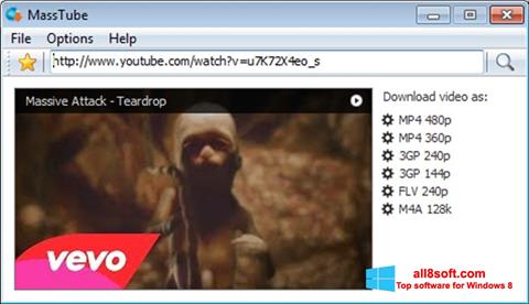 Skärmdump MassTube för Windows 8