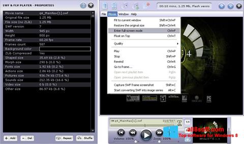 Skärmdump FLV Player för Windows 8