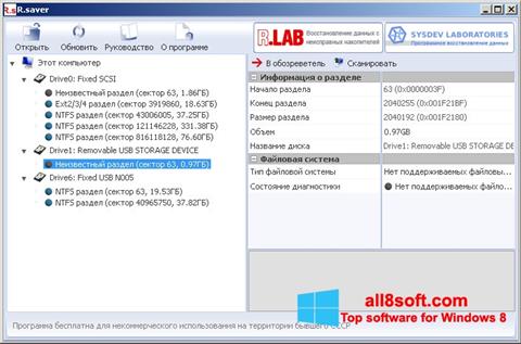 Skärmdump R.saver för Windows 8