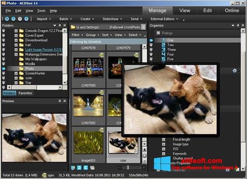 Skärmdump ACDSee Photo Manager för Windows 8
