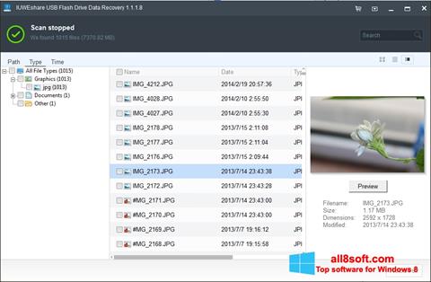 Skärmdump USB Flash Drive Recovery för Windows 8