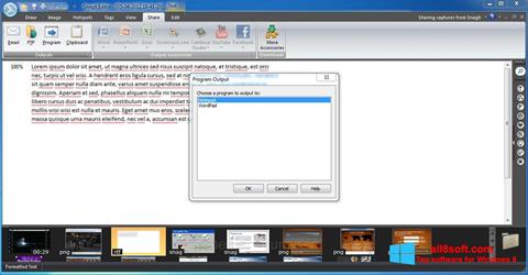 Skärmdump Snagit för Windows 8