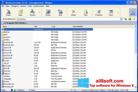 Skärmdump WinAce för Windows 8