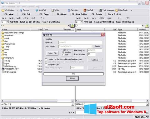 Skärmdump File Master för Windows 8