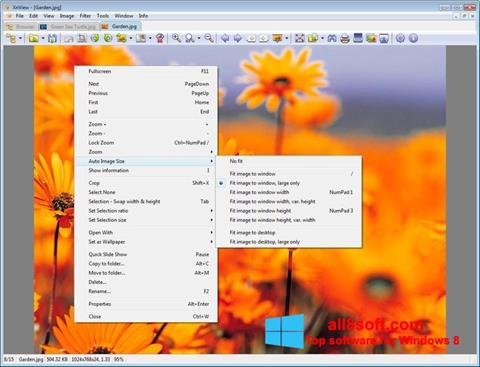 Skärmdump XnView för Windows 8
