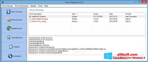 Skärmdump Driver Magician för Windows 8