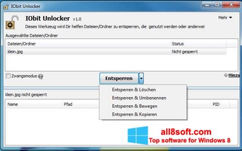 Skärmdump IObit Unlocker för Windows 8