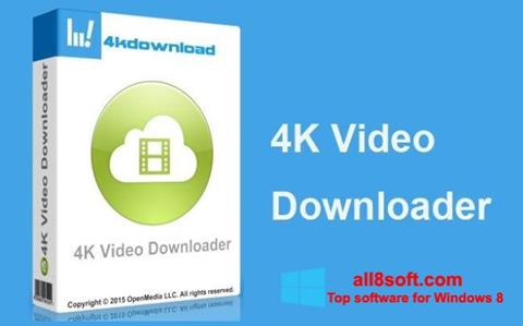 Skärmdump 4K Video Downloader för Windows 8