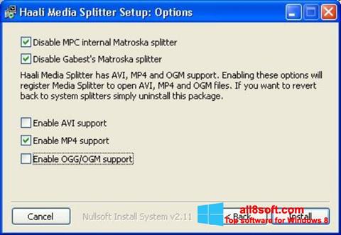 Skärmdump Haali Media Splitter för Windows 8