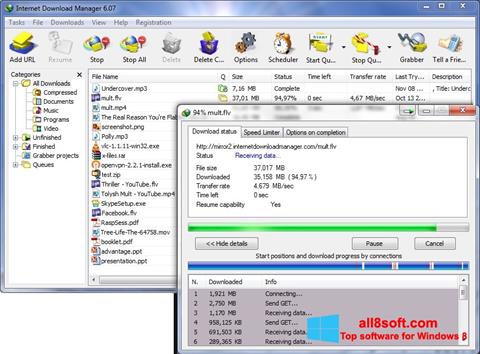 Skärmdump Internet Download Manager för Windows 8