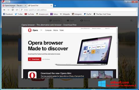 Skärmdump Opera Developer för Windows 8