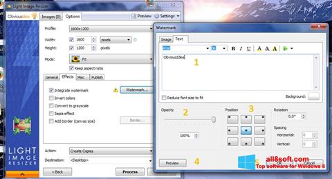 Skärmdump Light Image Resizer för Windows 8