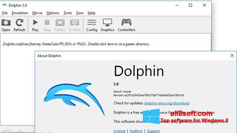 Skärmdump Dolphin för Windows 8