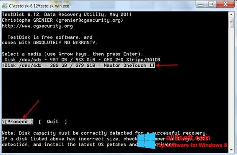 Skärmdump TestDisk för Windows 8