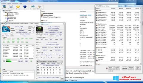Skärmdump HWiNFO för Windows 8