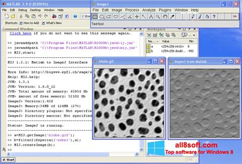 Skärmdump ImageJ för Windows 8