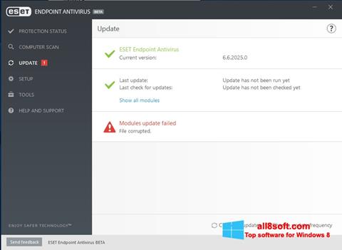 Skärmdump ESET Endpoint Antivirus för Windows 8