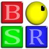 BSR Screen Recorder för Windows 8