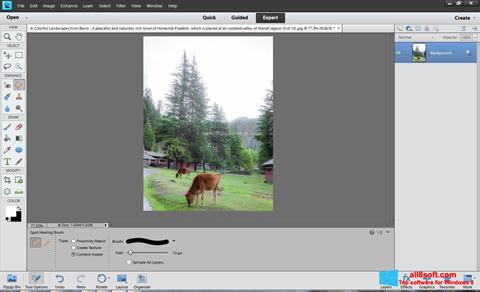 Skärmdump Photoshop Elements för Windows 8