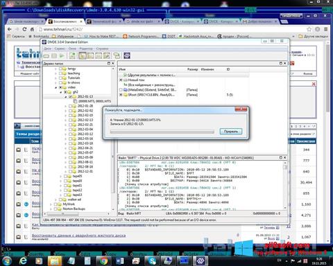 Skärmdump DMDE för Windows 8