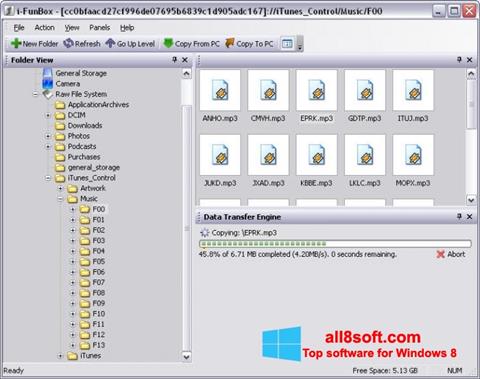 Skärmdump iFunBox för Windows 8