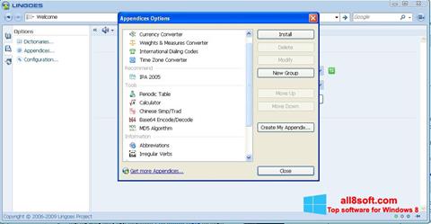Skärmdump Lingoes för Windows 8