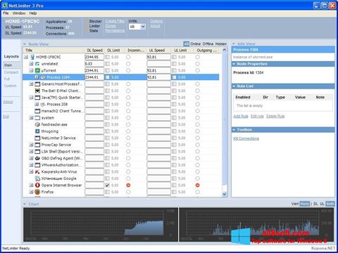 Skärmdump NetLimiter för Windows 8