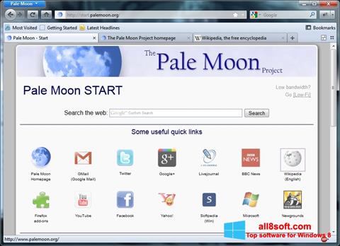 Skärmdump Pale Moon för Windows 8