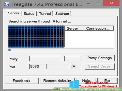 Skärmdump Freegate för Windows 8