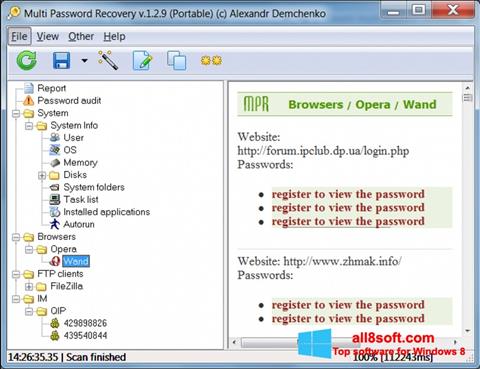 Skärmdump Multi Password Recovery för Windows 8