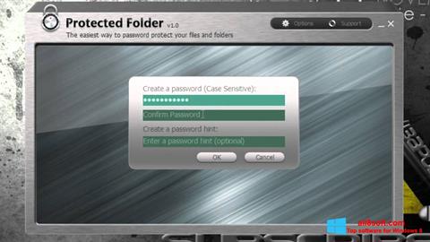 Skärmdump Protected Folder för Windows 8