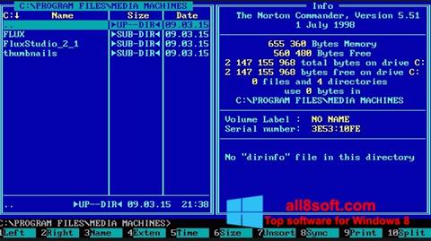 Skärmdump Norton Commander för Windows 8