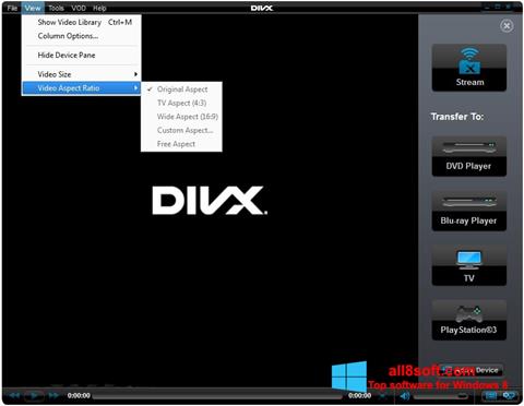 Skärmdump DivX Player för Windows 8