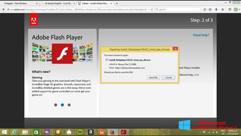 Skärmdump Adobe Flash Player för Windows 8