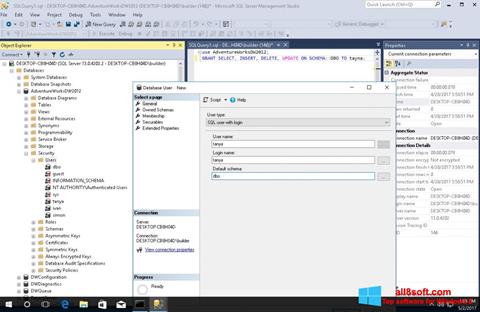 Skärmdump Microsoft SQL Server för Windows 8