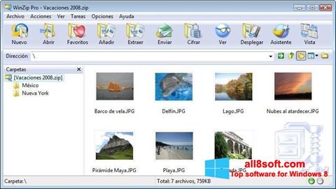 Skärmdump WinZip för Windows 8