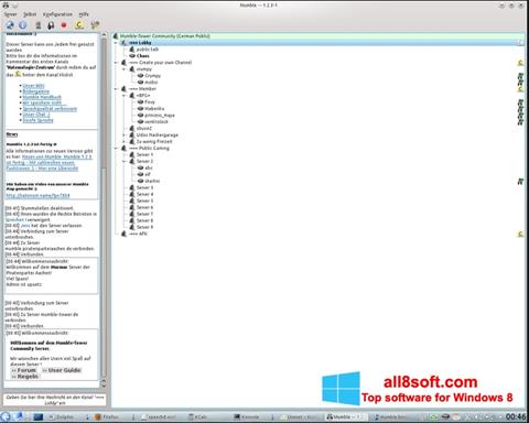 Skärmdump Mumble för Windows 8