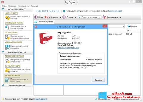 Skärmdump Reg Organizer för Windows 8
