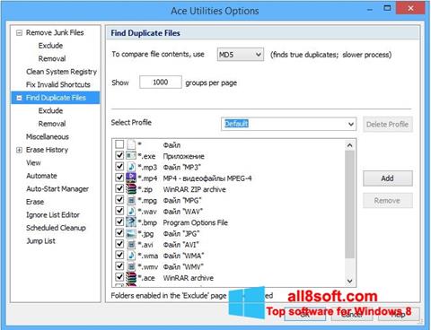 Skärmdump Ace Utilities för Windows 8