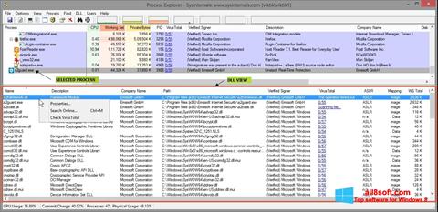 Skärmdump Process Explorer för Windows 8