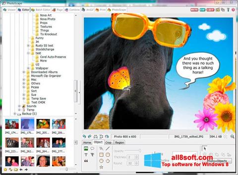 Skärmdump PhotoScape för Windows 8