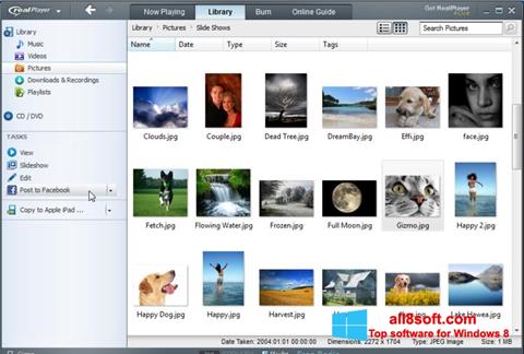 Skärmdump RealPlayer för Windows 8