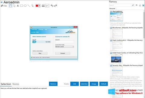 Skärmdump AeroAdmin för Windows 8
